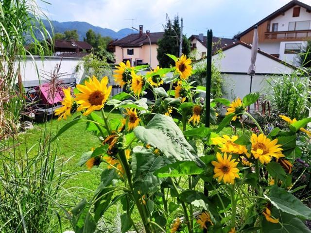 Florentiner Haus *
